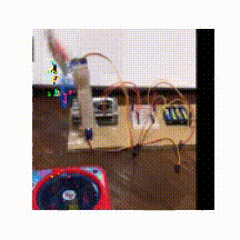 距離 & 釣り上げると報酬