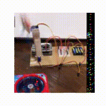 釣り上げると報酬